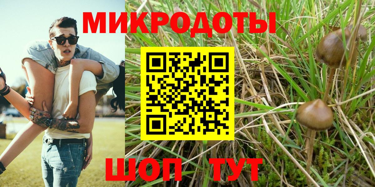 Псилоцибиновые грибы GOLDEN TEACHER Мелеуз