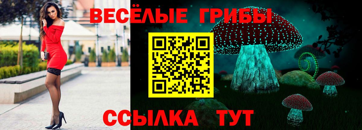 Галлюциногенные грибы прущие грибы  Вход с VPN  Галлюциногенные грибы Psilocybe  Мелеуз 